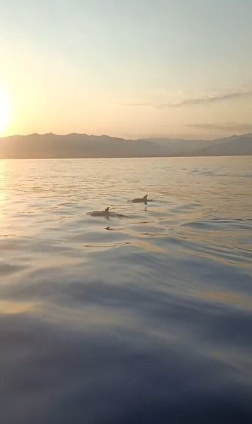 Antonio - Escursioni in Barca-Giardini Naxos必去景点