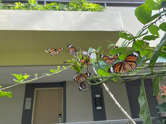 美林海滩度假村主图