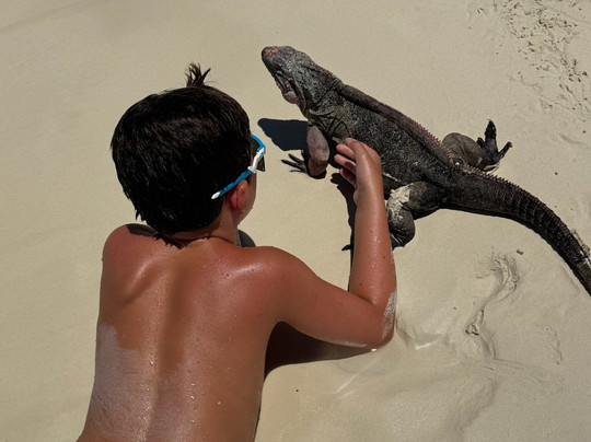 Crazy Bahamian Tours