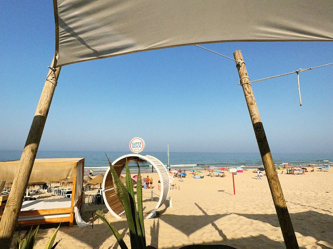 Tiki Surf Academy-里斯本必去景点