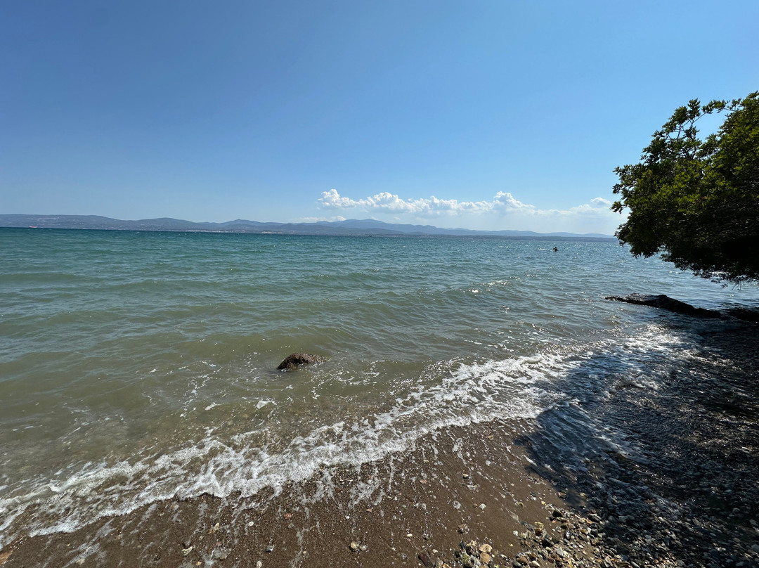 Petit Village Hotel主图