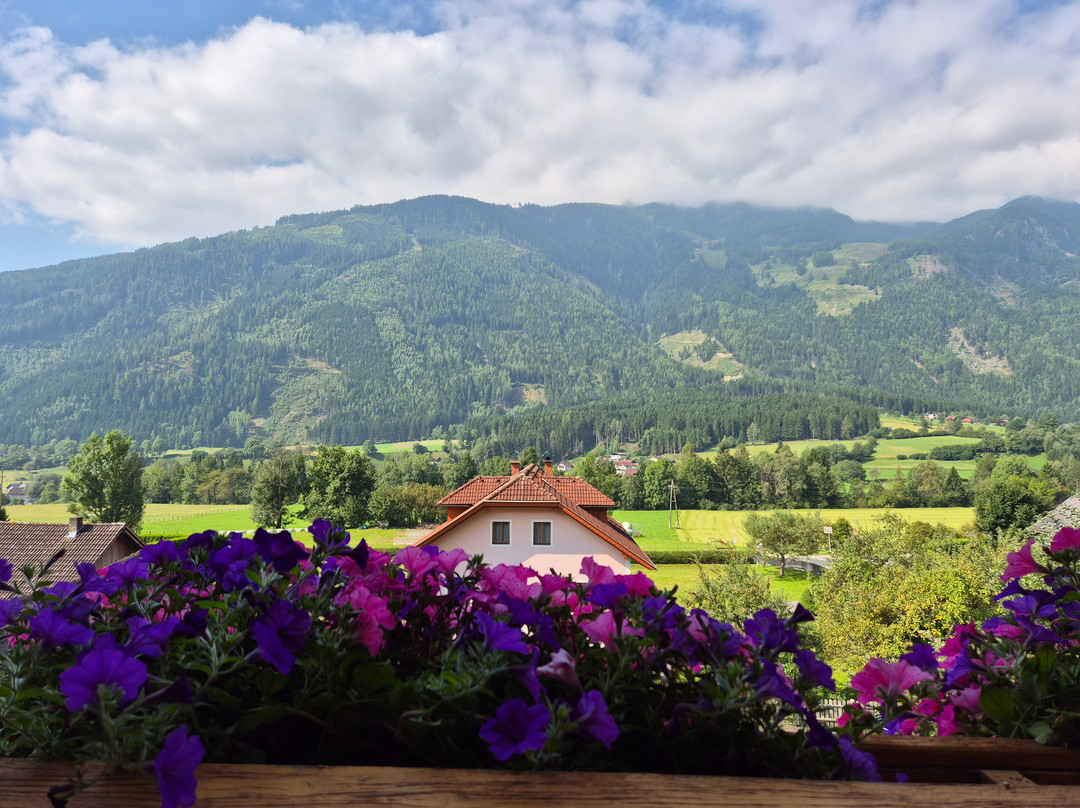 Hotel Malteinerhof主图