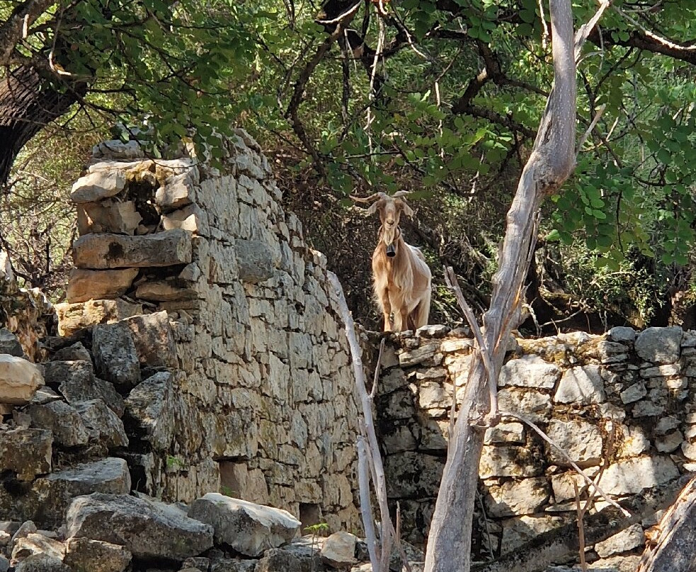 Old Vlachata-萨米必去景点