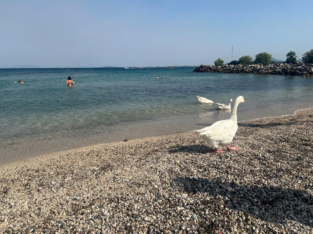 Ipsos Beach-Kato Agios Markos必去景点