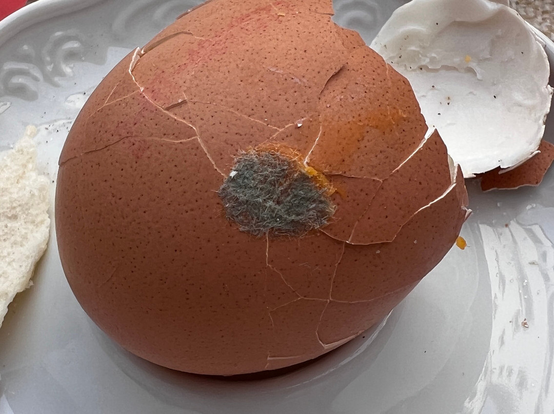 Hotel Schloss Munichau主图