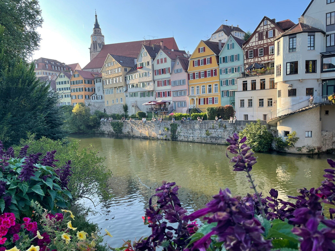 Domizil Tubingen主图