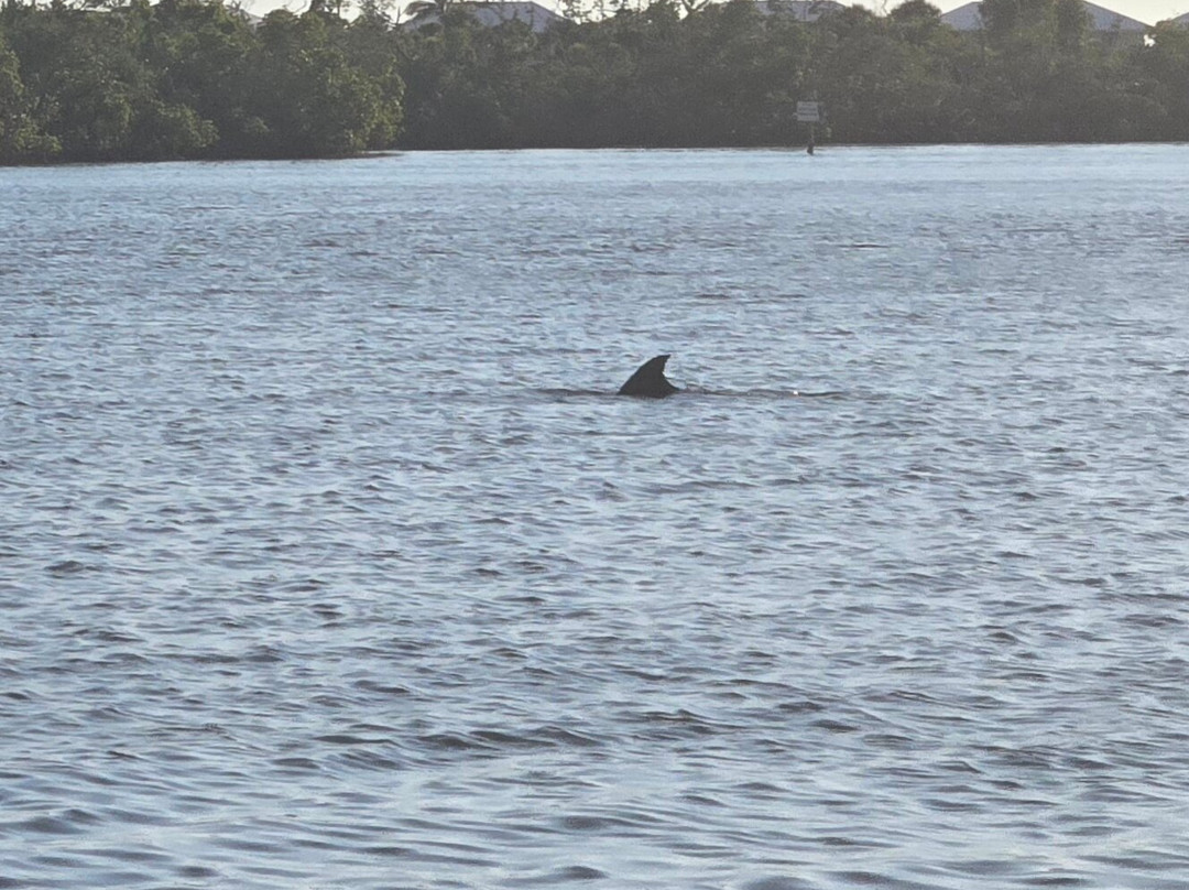 Gasparilla Boat Tours-恩格尔伍德必去景点