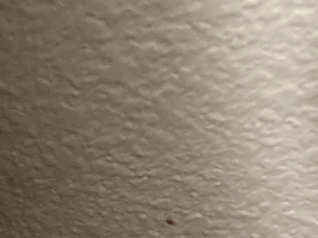 Wingate by Wyndham Athens near Downtown主图