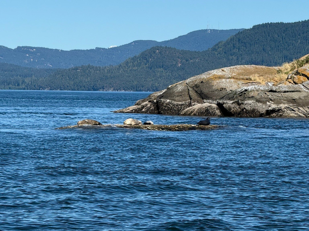 San Juan Outfitters-星期五港湾必去景点