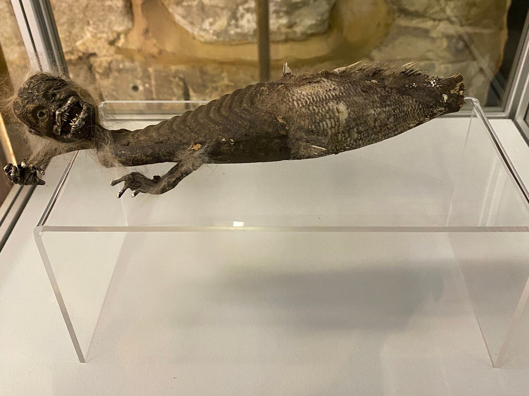 Shipwreck Centre and Maritime Museum, Isle of Wight-Arreton必去景点