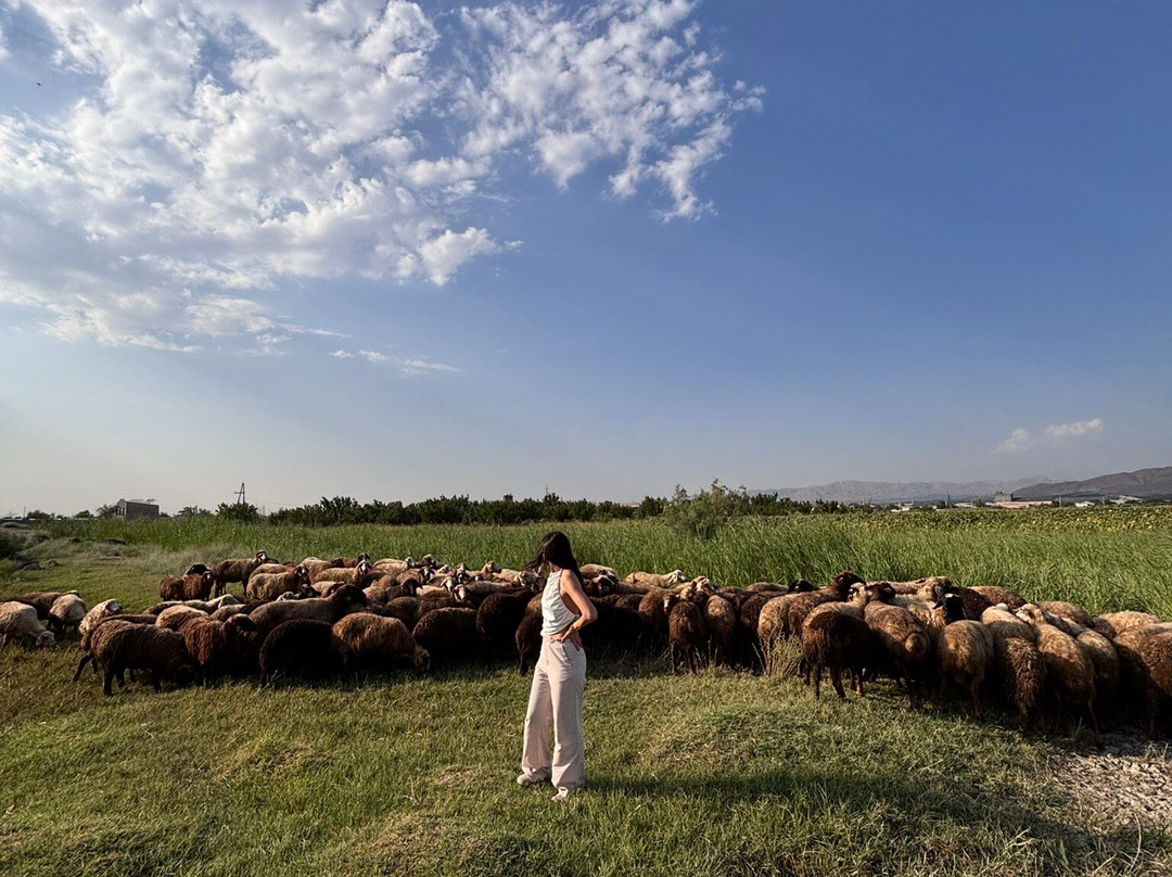 Soul Of Armenia-Tsakhkadzor必去景点