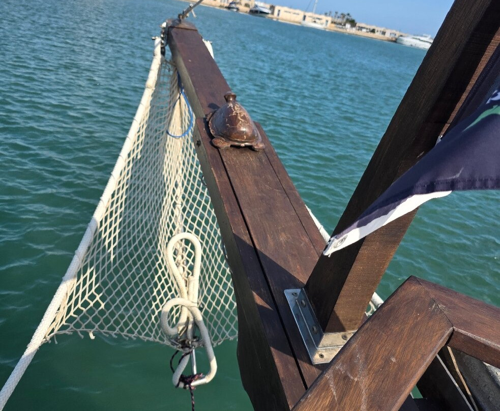 Caicco Eco Freedom-维耶斯泰必去景点