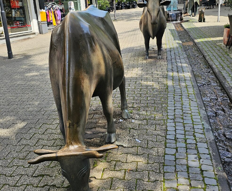 City-Galerie Siegen-锡根必去景点