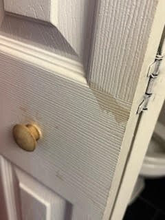 底特律尤蒂卡驻桥套房酒店主图