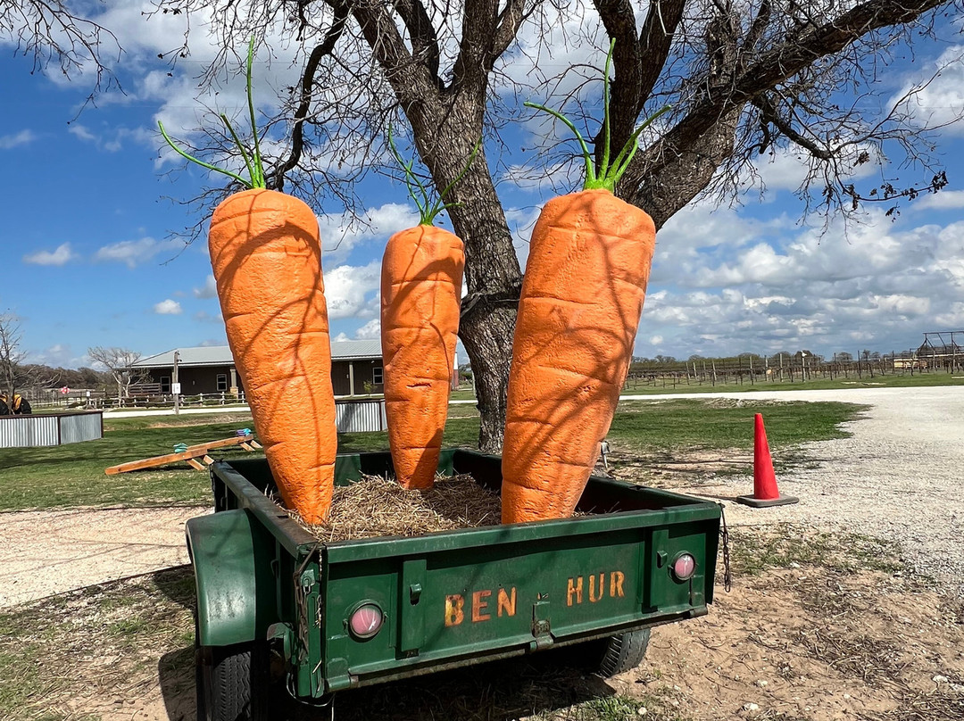 Denton Valley Farms-Clyde必去景点