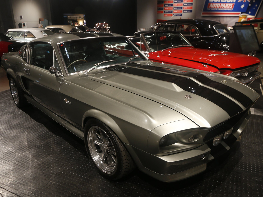 Moooving Art Shepparton-谢珀顿必去景点