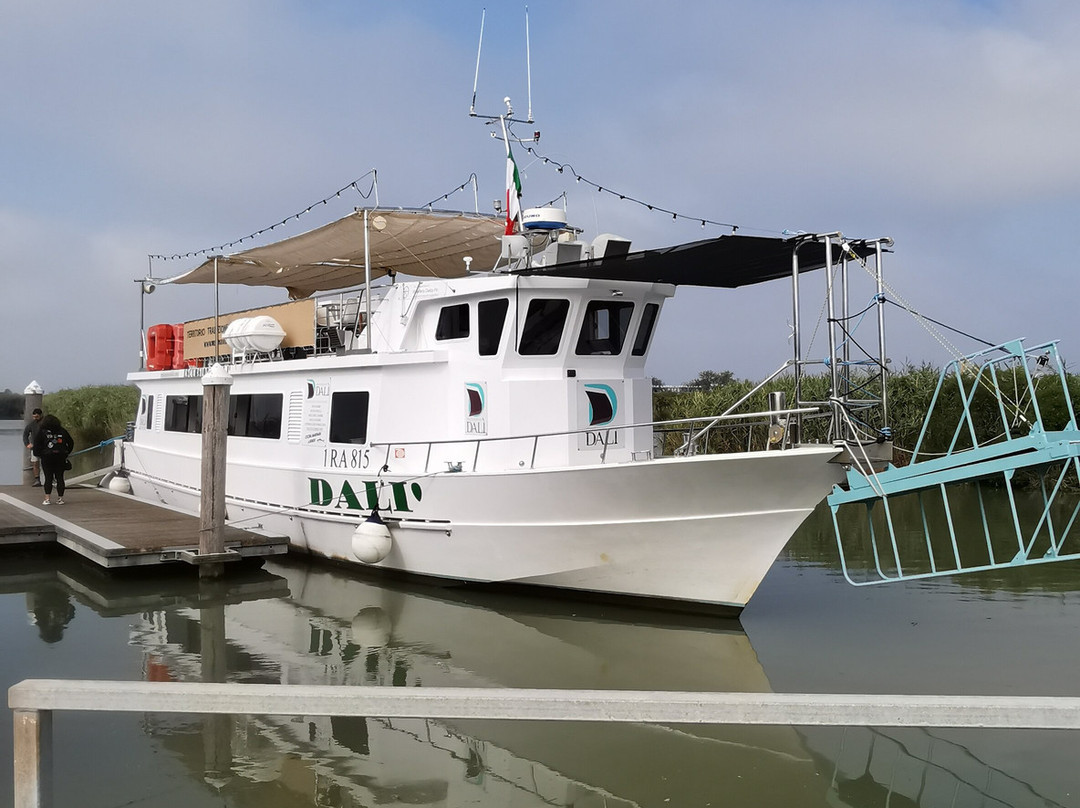 Motorship Dali-Porto Garibaldi必去景点
