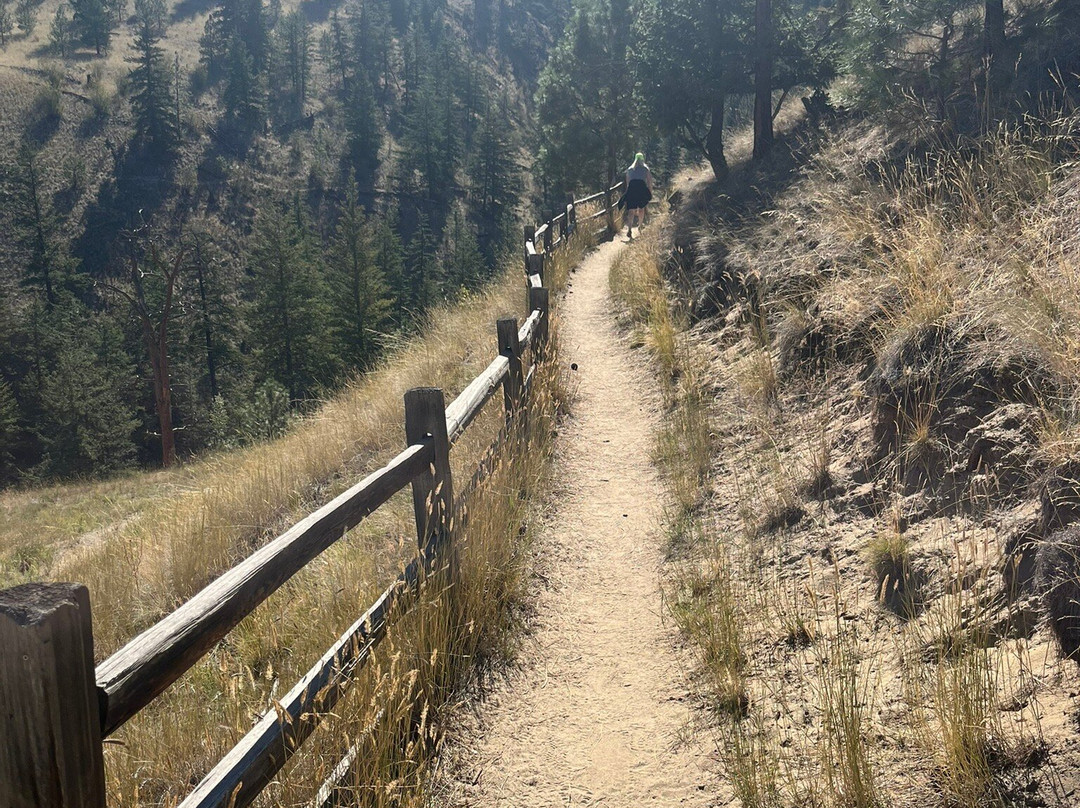 Peterson Creek Park-坎卢普斯必去景点