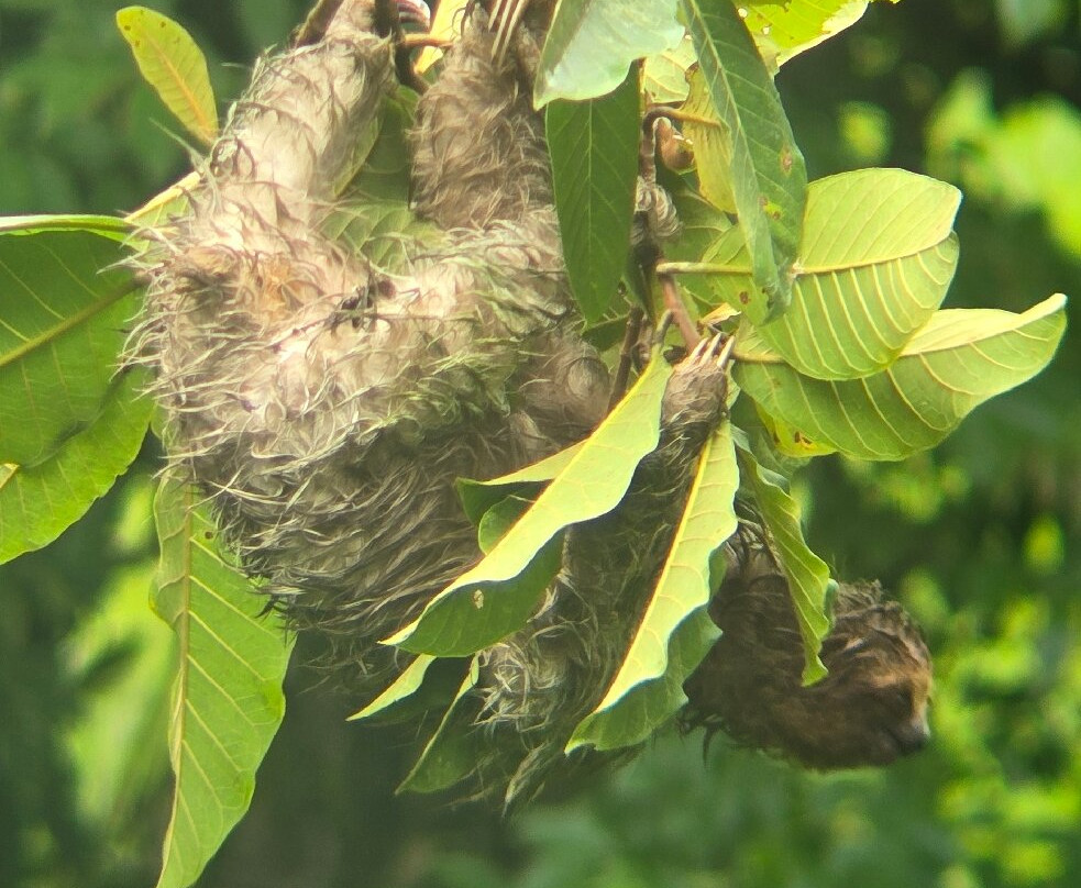 Spring Paradise Bijagua Tours-Bijagua de Upala必去景点