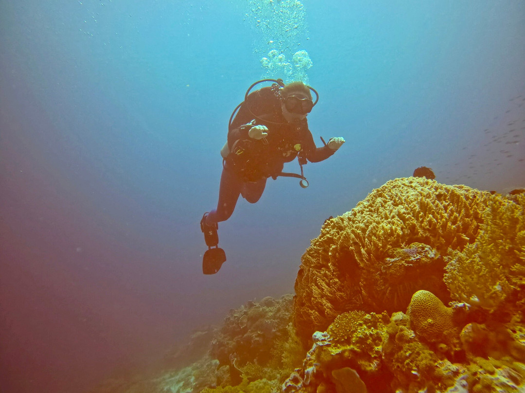 Southern Leyte Divers主图