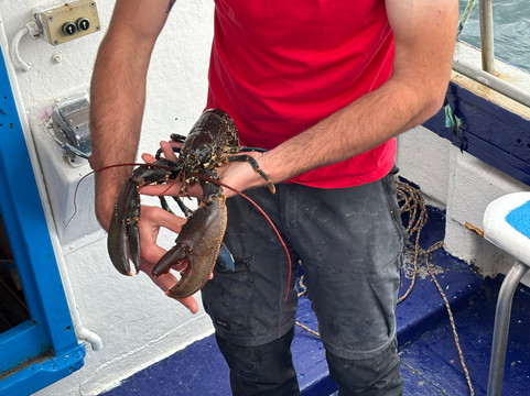 Bantry Bay Charters-Glengarriff必去景点