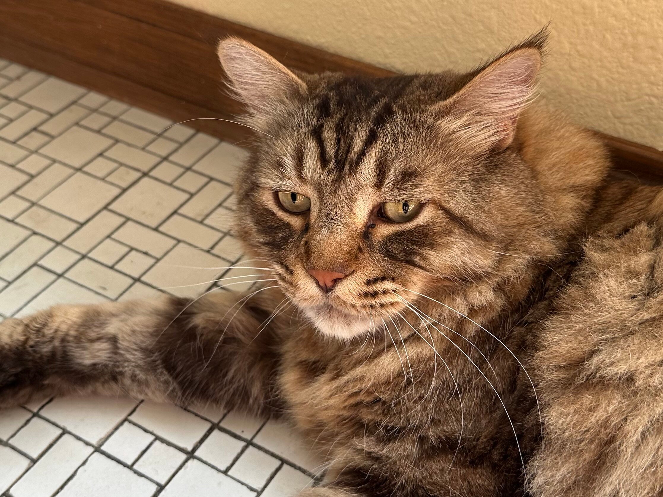 Osprey Inn B & B-官方