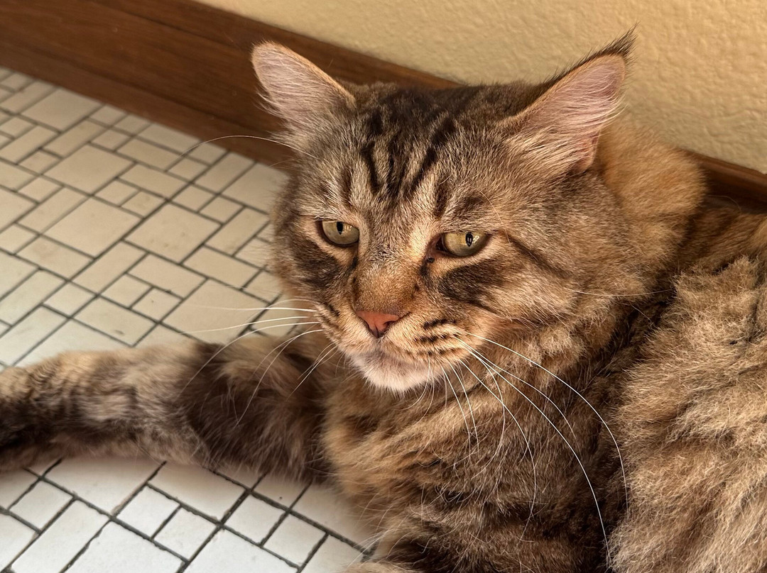 Osprey Inn B & B主图