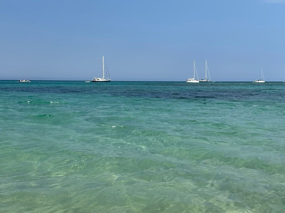 Spiaggia dei Fichi-普拉必去景点