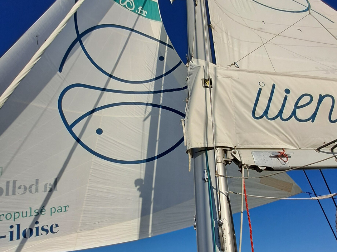 Iliens - La Navette Qui Met Les Voiles-基伯龙必去景点