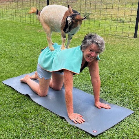 808 Goat Yoga