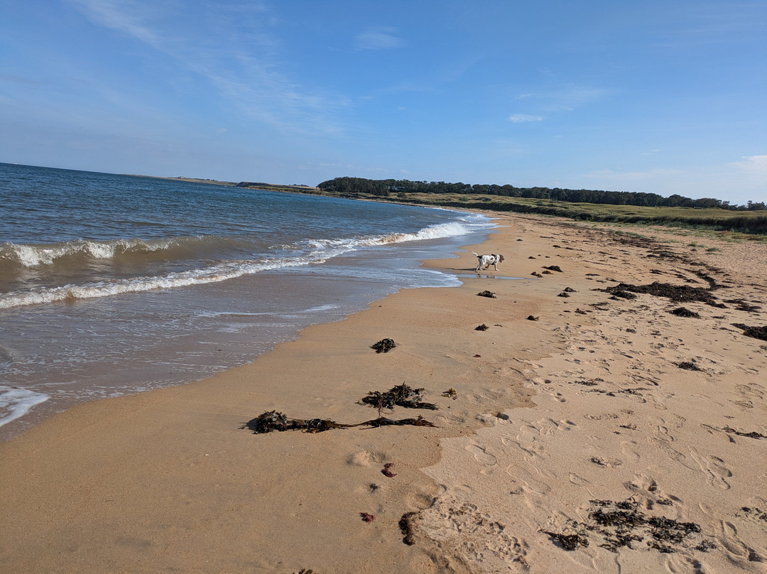 Kingsbarns Beach-Kingsbarns必去景点