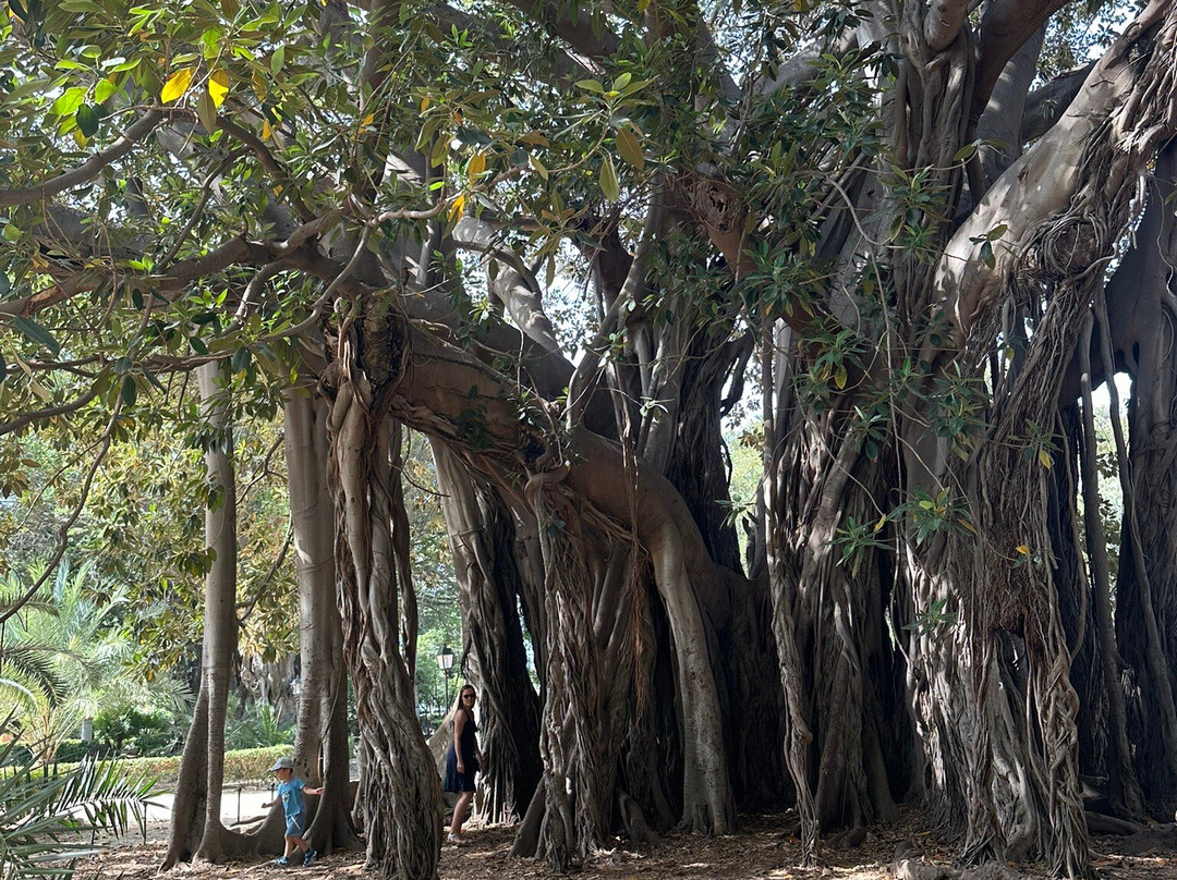 Giardino Garibaldi-巴勒莫必去景点