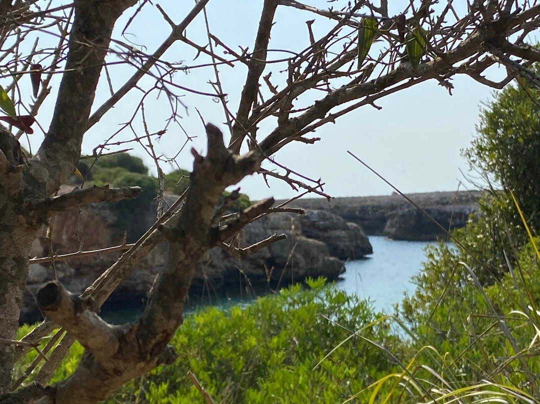 Cala Petita-克里斯托港必去景点