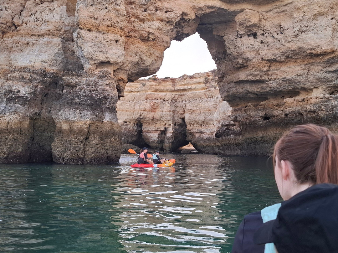 Treasure Tours-Porches必去景点