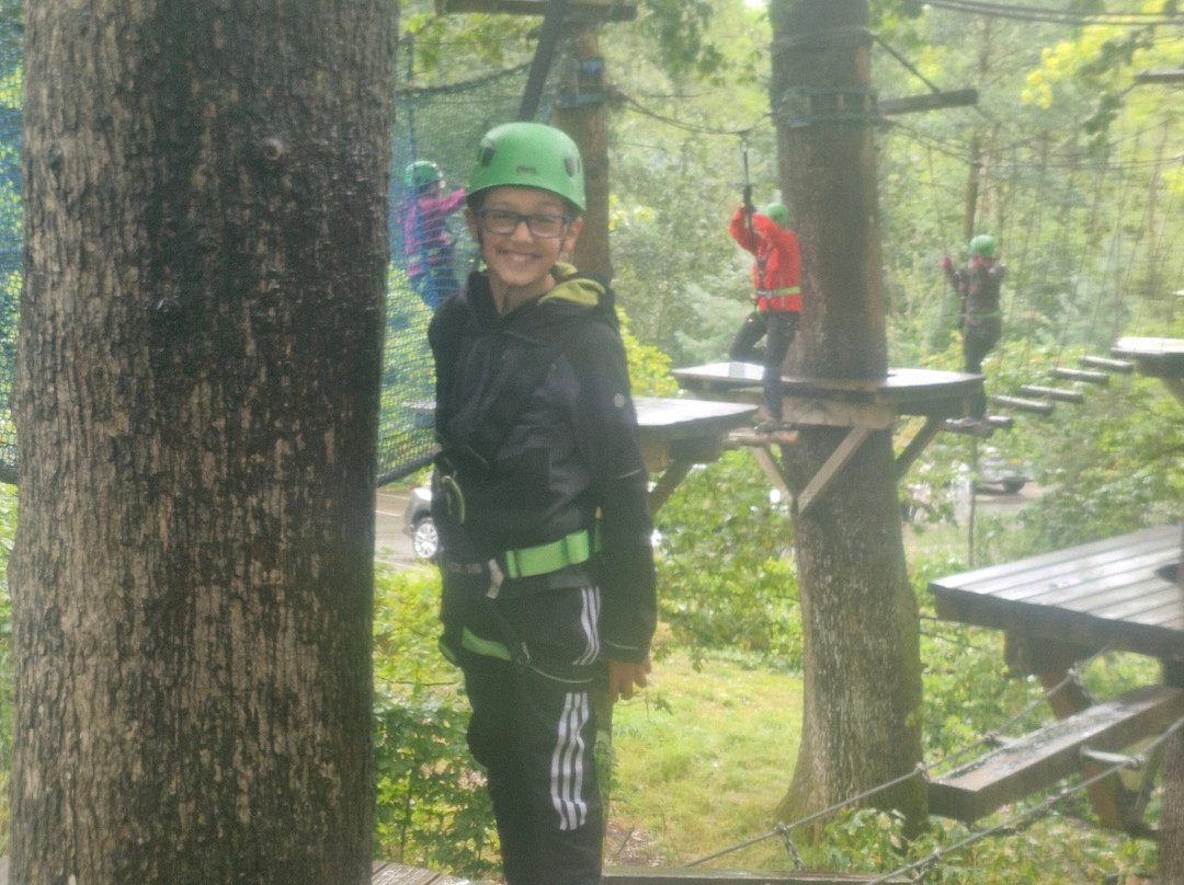 湖区丛林穿越-温德米尔必去景点