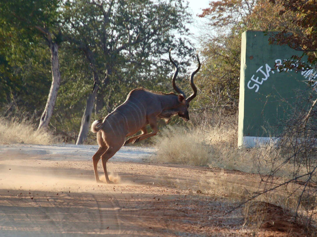 Mahango Game Reserve-奥奇瓦龙戈必去景点
