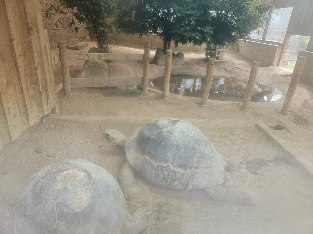 Crocodiles of the World-Brize Norton必去景点