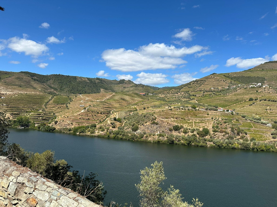 Jorge Miguel Matias - Wine & Tours-Pinhao必去景点