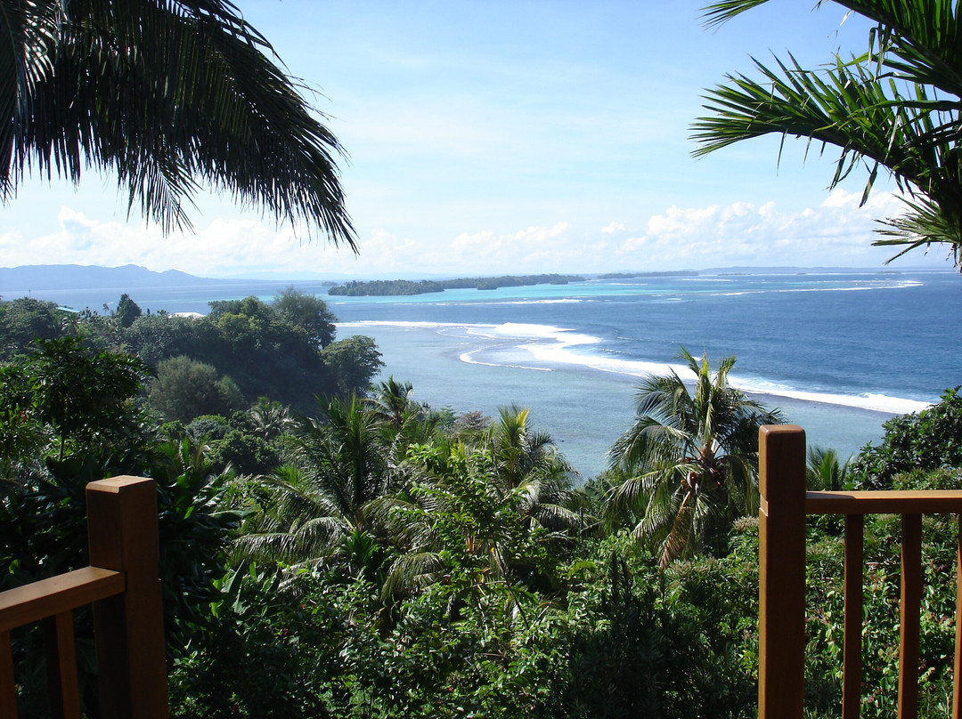 Dive Gizo-Gizo必去景点