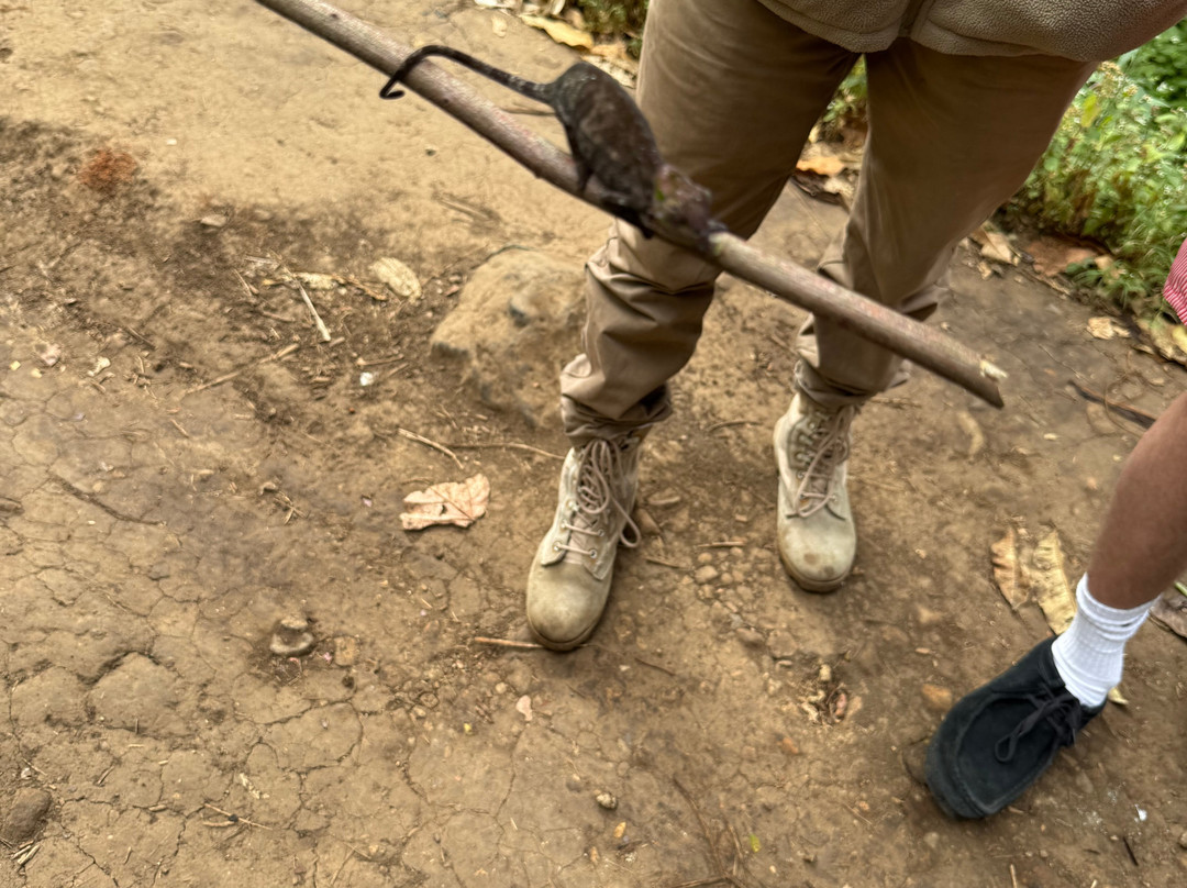 Ifulong Cultural Tourism-阿鲁沙必去景点