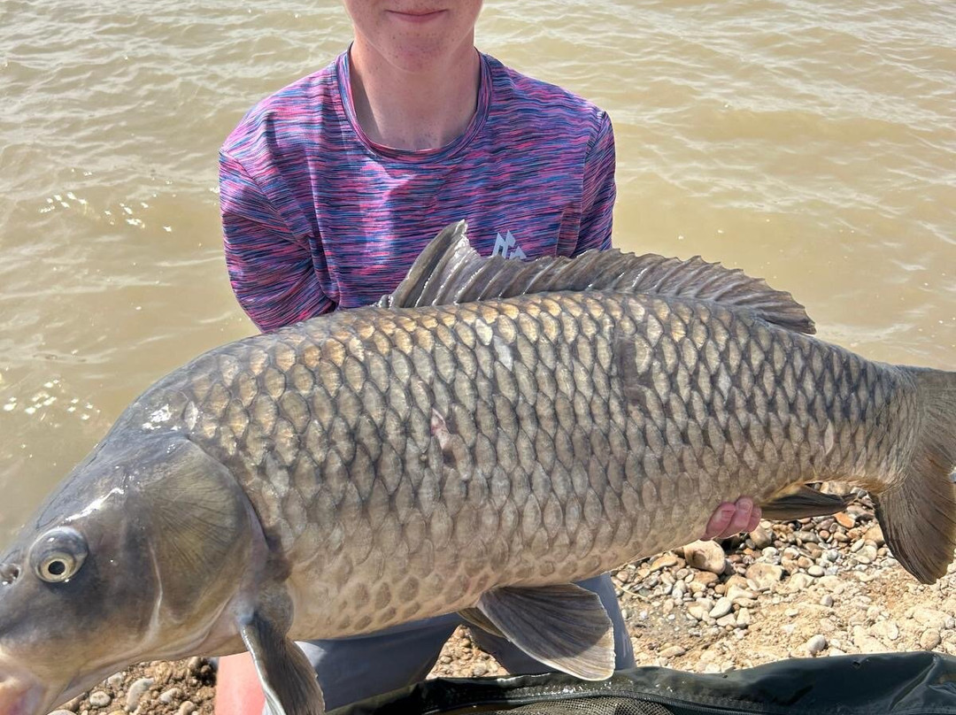 River Ebro Catfishing Holidays-Caspe必去景点