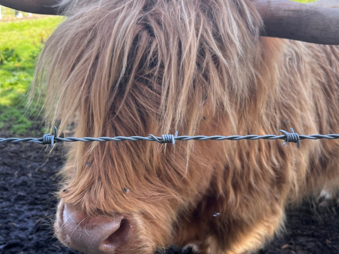 Taverham Mill Nature Reserve and Fishery-Taverham必去景点