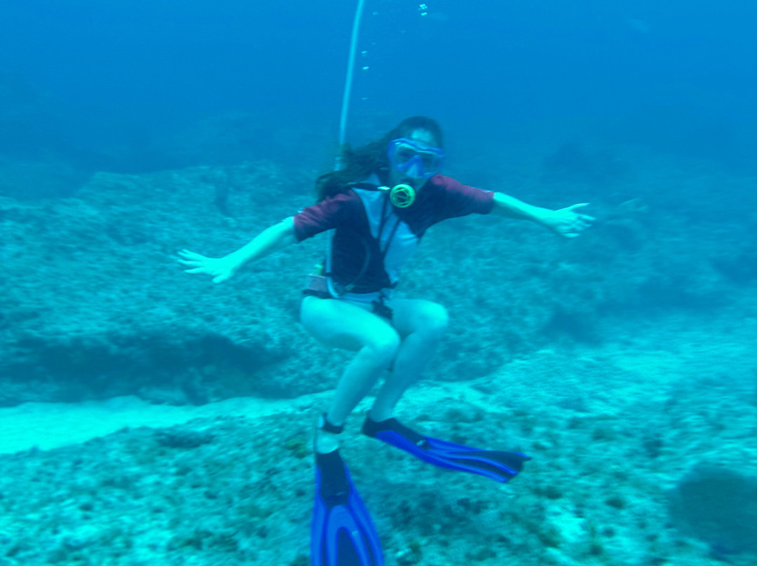 FL Keys Unique Diving-拉哥岛必去景点
