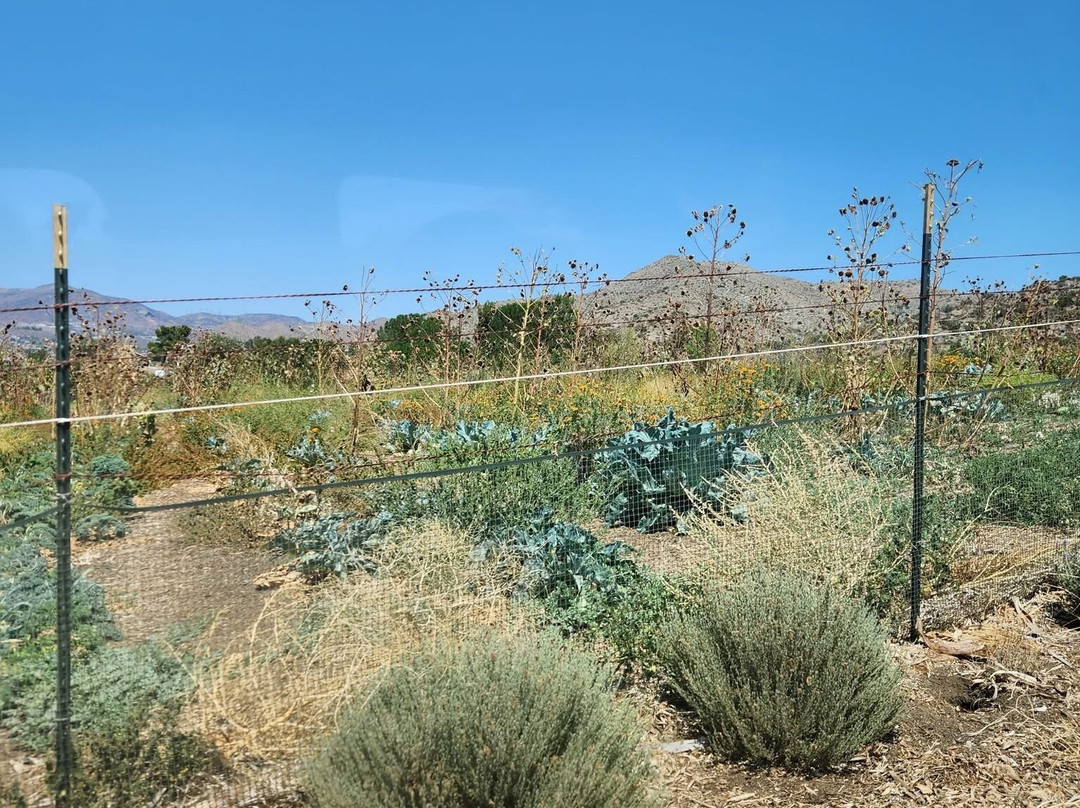 Bloom Ranch Of Acton-ACTON)必去景点