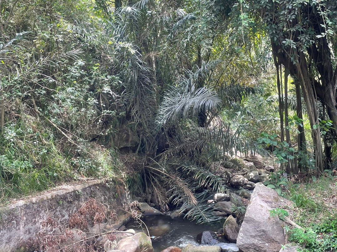 Efrata Waterfall-沙摩西岛必去景点
