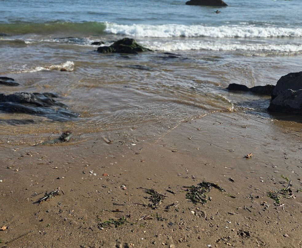 Bigbury-on-Sea Beach-Bigbury-on-Sea必去景点