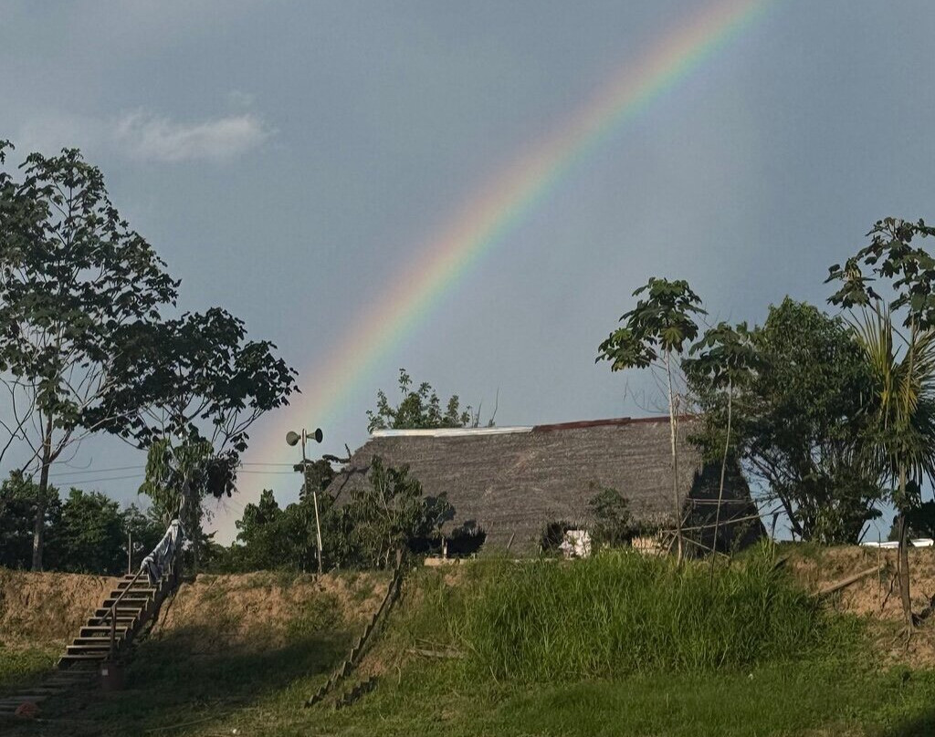 Lupuna Jungle Tours主图