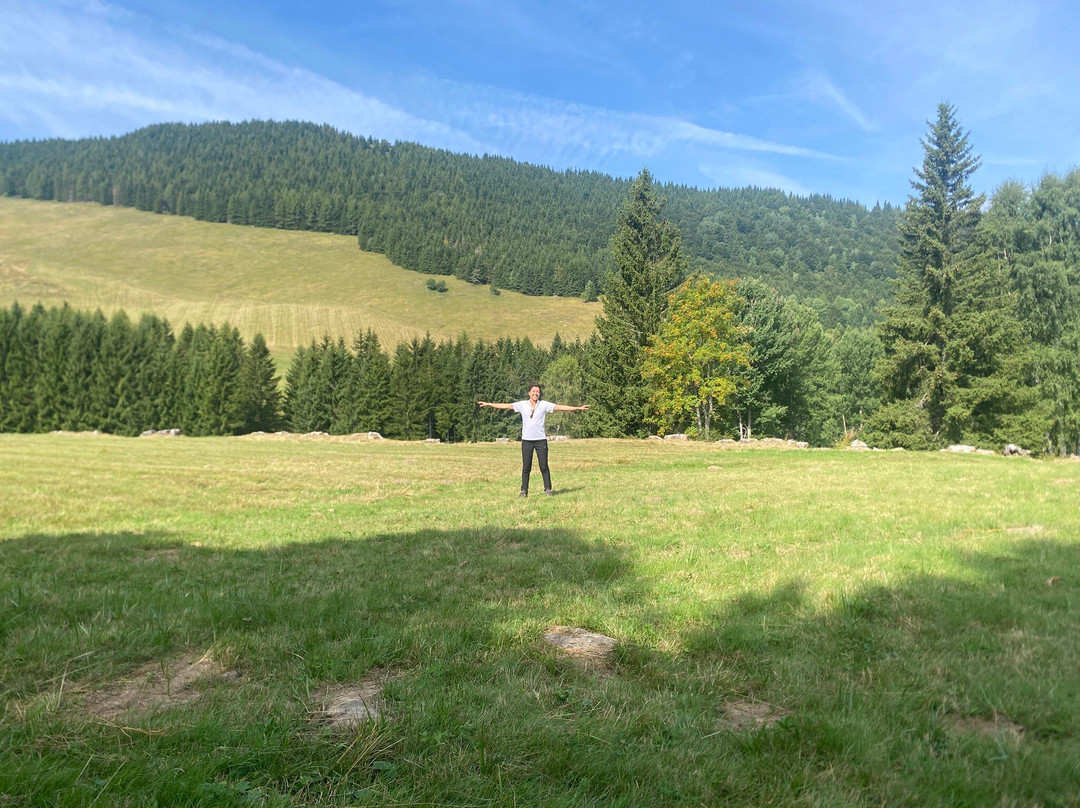 Giardino Botanico Alpino Viote di Monte Bondone-特伦托必去景点