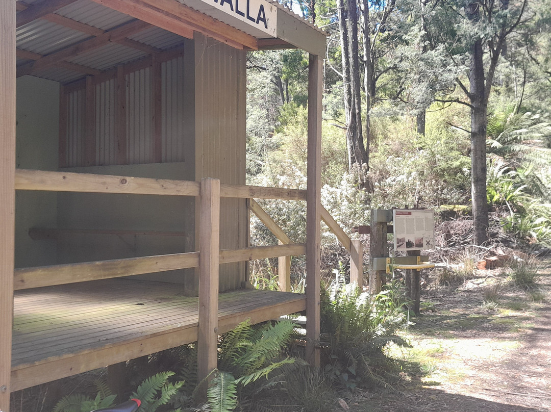 North East Tasmania Rail Trail-Scottsdale必去景点