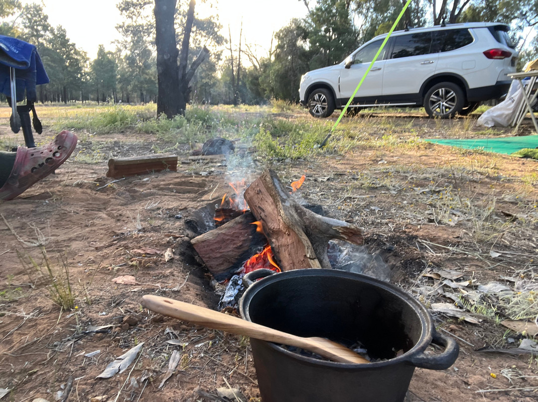 Carinya Station Farm Stay-Lightning Ridge必去景点